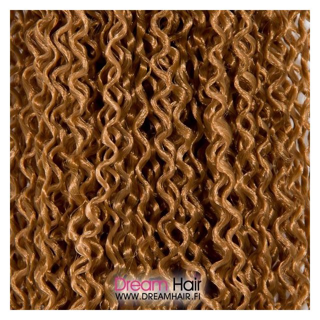 Zizi Braid 27#
