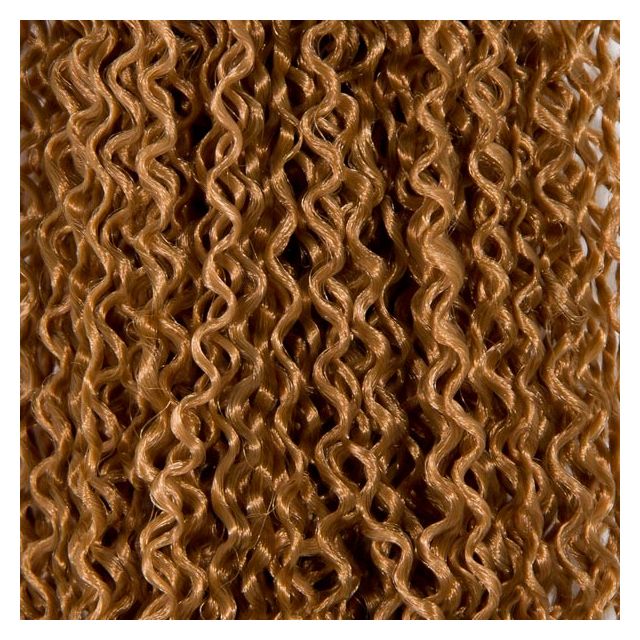 Zizi Braid 27#