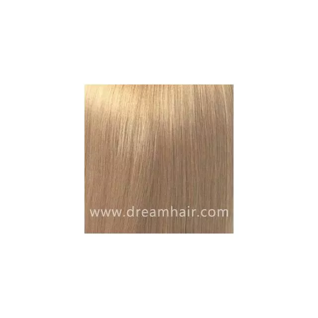 Hair Color Sample 18#