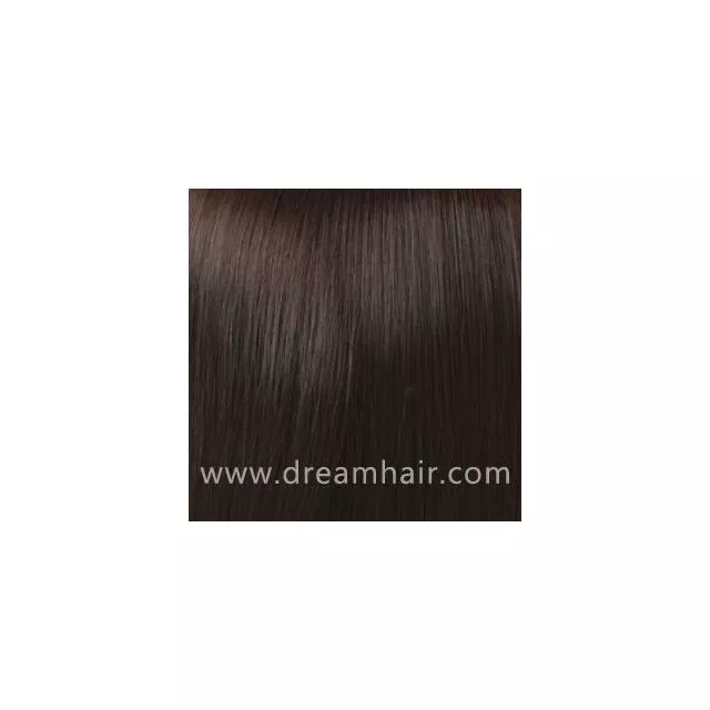 Hair Color Sample 2#