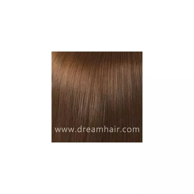 Hair Color Sample 6#