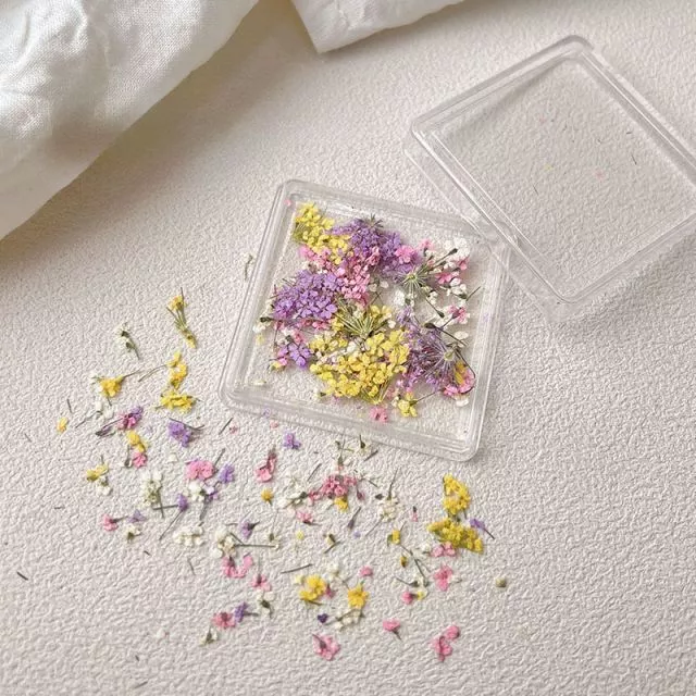 Spring Dried Flower 30#