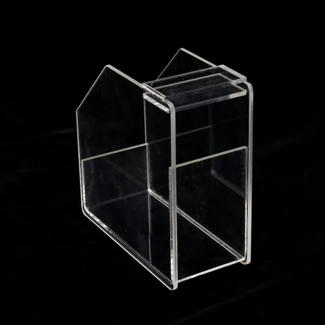 Nail Forms Box Transparent