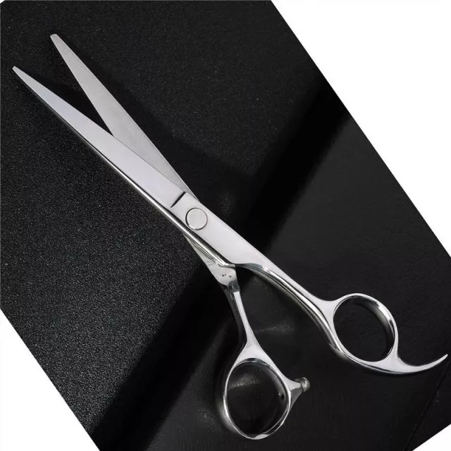 Professional Haircutting Scissors 6.0" - 4CR Stainless Steel, 59HRC Hardness, Silver