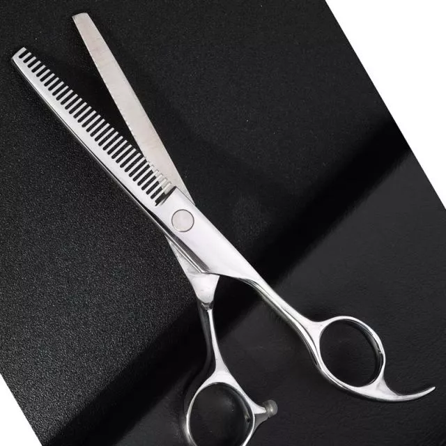 Professional Thinning Scissors 6.0” – 4CR Steel, 25–30% Thinning Rate, Silver
