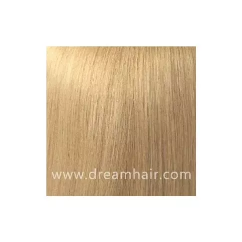 Hair Color Sample 24#