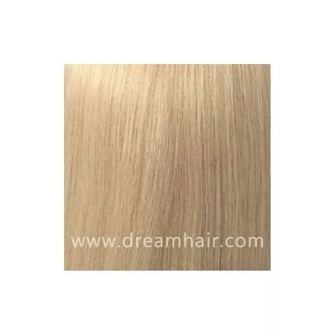 Hair Color Sample 613#