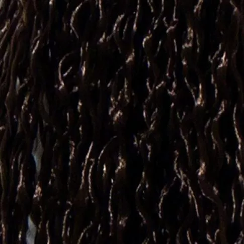 Zizi Braid 2#