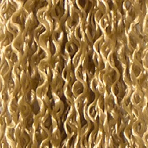 Zizi Braid 24#